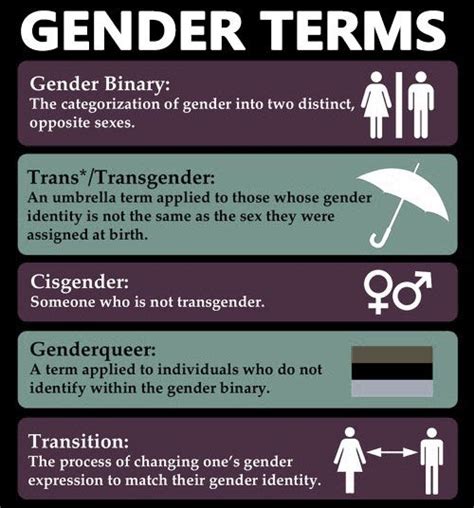 what is shemale|Trans Glossary: Reference List of Transgender Terms。